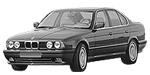 BMW E34 P0C8A Fault Code
